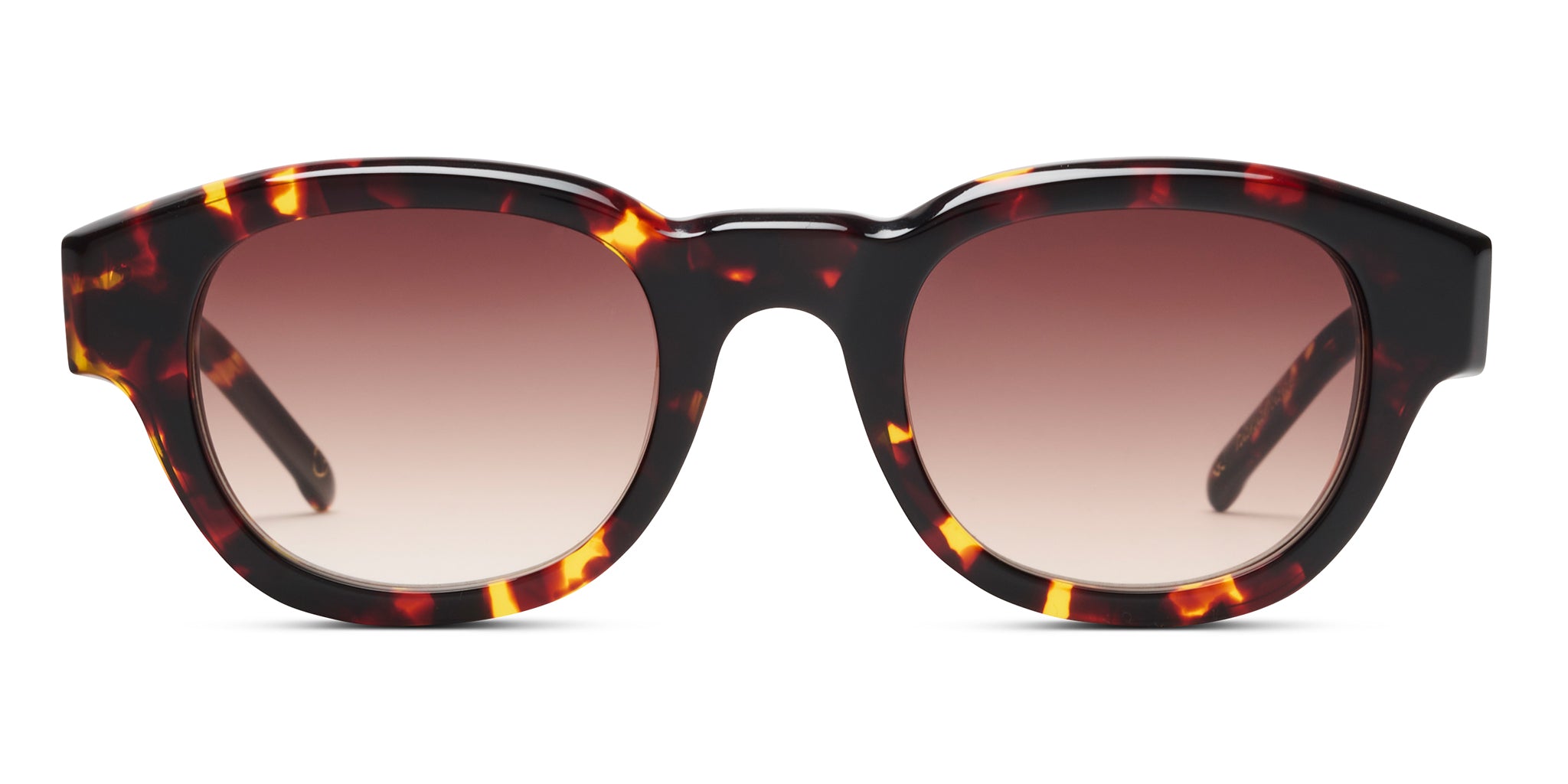 CB Aleck - Dark Tortoise